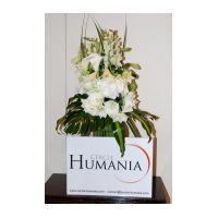 Cerle Humania 056R.JPG